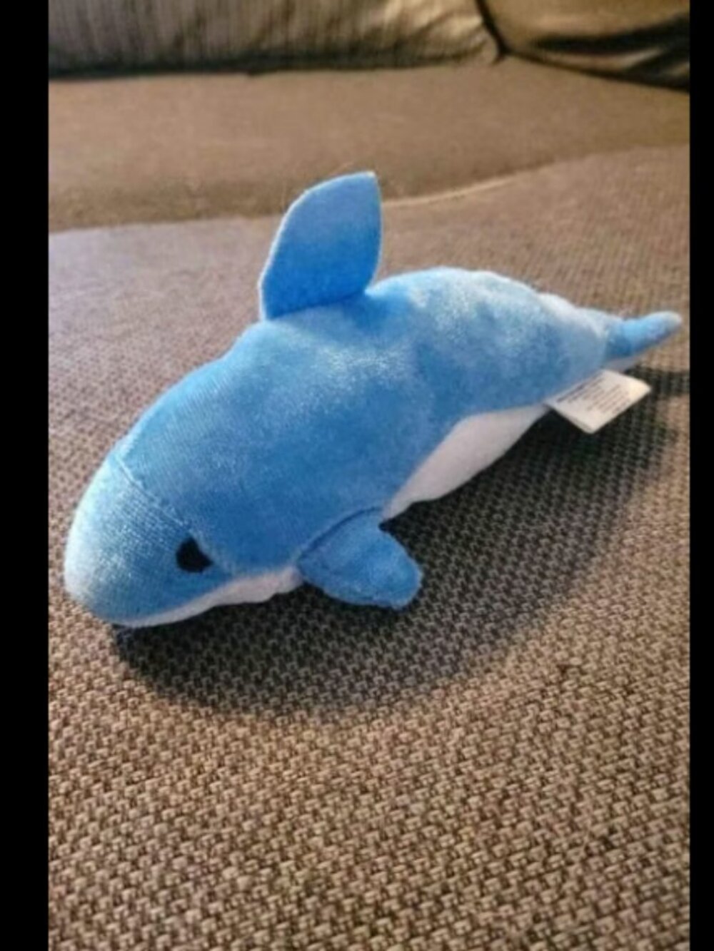 Small dolphin plush